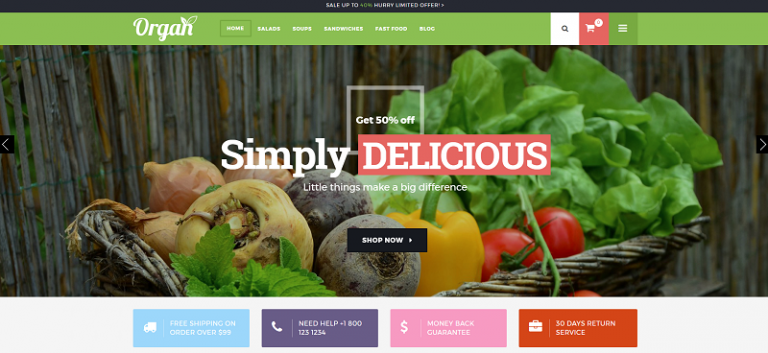 Best WooCommerce Themes for Selling Organic Products in 2017 | NooTheme